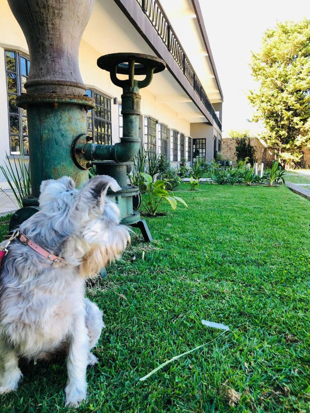 Hotel Rocaval San Cristóbal de Las Casas Exterior foto